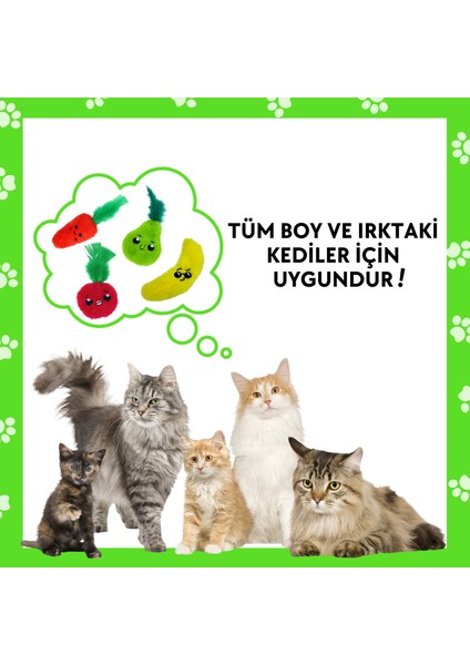 Çılgın Manav 4 Adet Peluş Kedi Oyuncak Seti 8 Adet Kedi Nanesi Paketi Dahil Peluş Kedi Oyuncakları