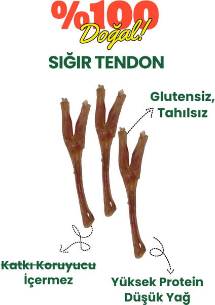 NeoBarf Doğal Sığır Teendon Köpek Çiğneme Çubuğu 3 Adet - Köpek Kemirme Ödül Çubuğu