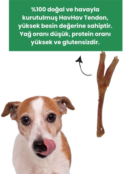 NeoBarf Doğal Sığır Teendon Köpek Çiğneme Çubuğu 3 Adet - Köpek Kemirme Ödül Çubuğu