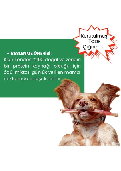 NeoBarf Doğal Sığır Teendon Köpek Çiğneme Çubuğu 3 Adet - Köpek Kemirme Ödül Çubuğu