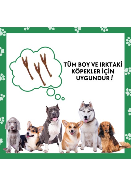 NeoBarf Doğal Sığır Teendon Köpek Çiğneme Çubuğu 3 Adet - Köpek Kemirme Ödül Çubuğu