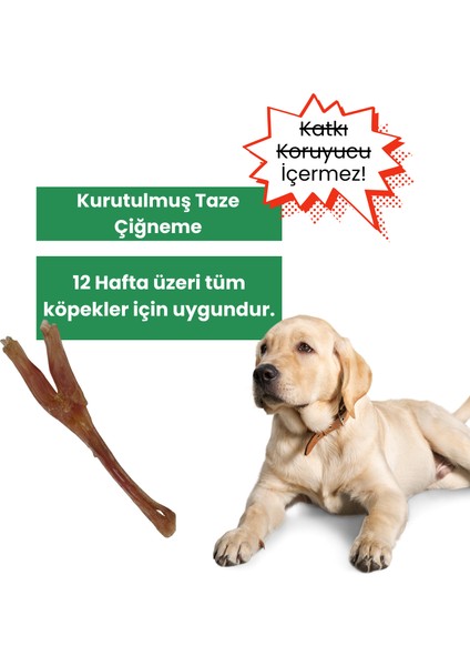 NeoBarf Doğal Sığır Teendon Köpek Çiğneme Çubuğu 3 Adet - Köpek Kemirme Ödül Çubuğu