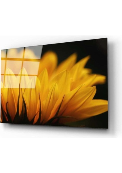 Ay Çiçeği 2 Cam Tablo