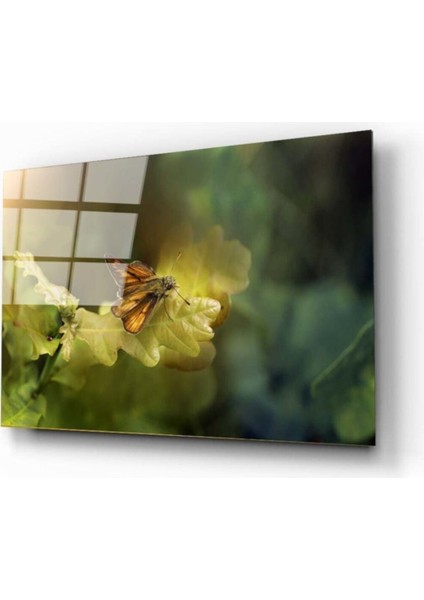Kelebek 2 Cam Tablo