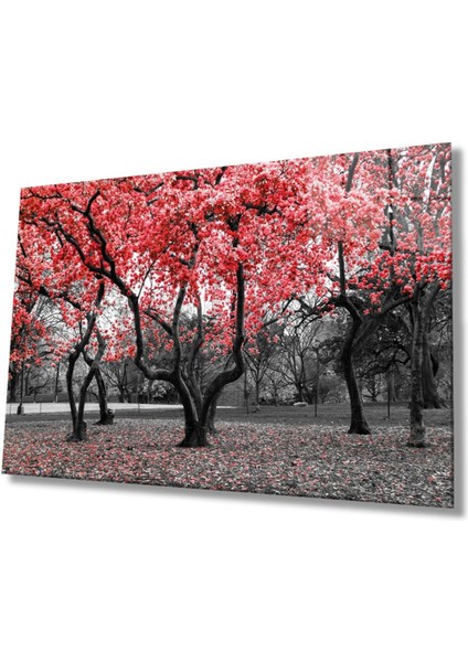Kırmızı Ağaçlar Doğa Cam Tablo, Ev ve Ofis Duvar Dekoru, Hediyelik Büyük Temperli 4 mm Cam Tablo