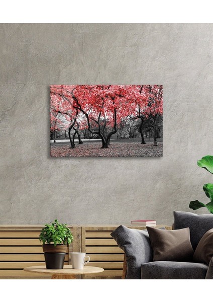 Kırmızı Ağaçlar Doğa Cam Tablo, Ev ve Ofis Duvar Dekoru, Hediyelik Büyük Temperli 4 mm Cam Tablo fiyatları