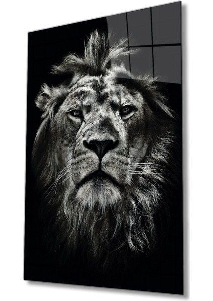 Aslan Hayvan Portresi Cam Tablo, Ev ve Ofis Duvar Dekoru, Hediyelik Büyük Temperli 4 mm Cam Tablo
