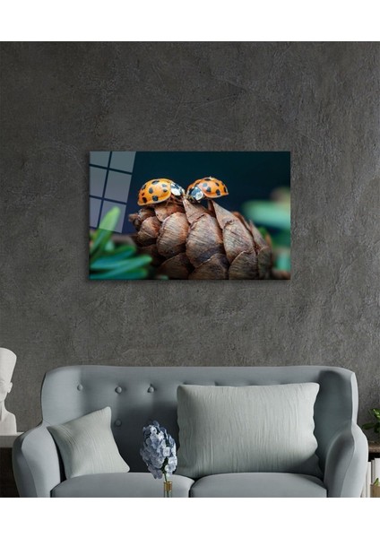 Uğur Böceği ve Yaprak Cam Tablo, Ev ve Ofis Duvar Dekoru, Hediyelik Büyük Temperli 4 mm Cam Tablo