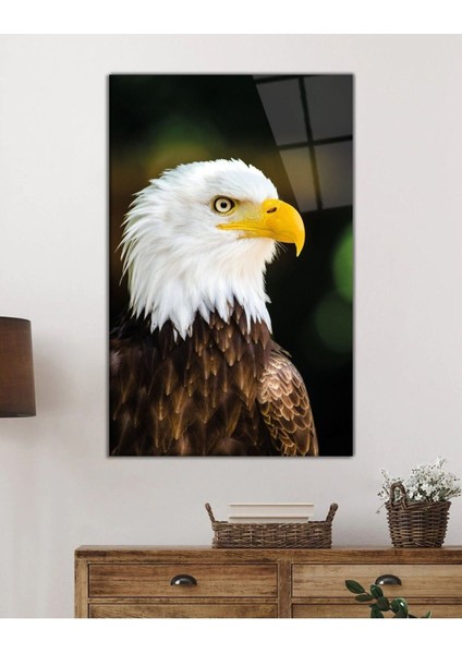 Kartal Hayvan Portresi Cam Tablo, Ev ve Ofis Duvar Dekoru, Hediyelik Büyük Temperli 4 mm Cam Tablo fiyatları