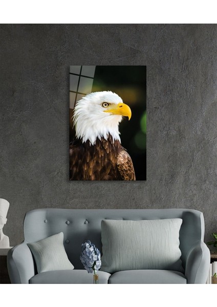 Kartal Hayvan Portresi Cam Tablo, Ev ve Ofis Duvar Dekoru, Hediyelik Büyük Temperli 4 mm Cam Tablo modelleri