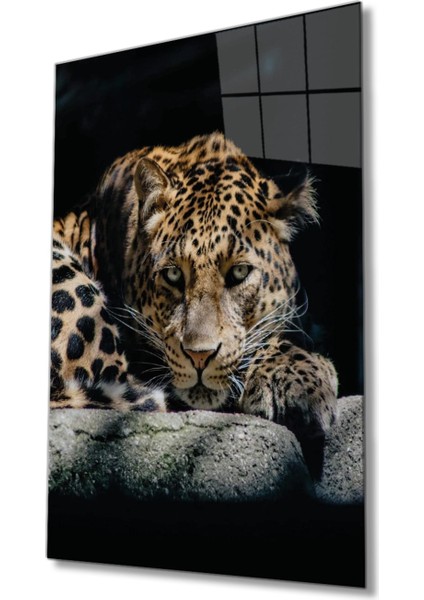 Kaplan Hayvan Portresi Cam Tablo, Ev ve Ofis Duvar Dekoru, Hediyelik Büyük Temperli 4 mm Cam Tablo