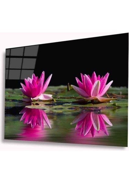 Lotus Çiçeği Cam Tablo 4mm Dayanıklı Temperli Cam