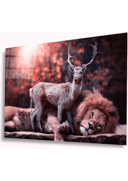 Aslan ve Geyik Cam Tablo 4mm Dayanıklı Temperli Cam