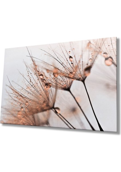 Kahverengi Karahindiba Cam Tablo