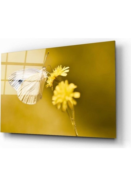 Kelebek Cam Tablo