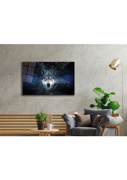 Kurt Cam Tablo fiyatları