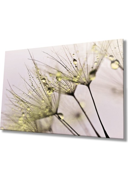 Sarı Karahindiba Cam Tablo