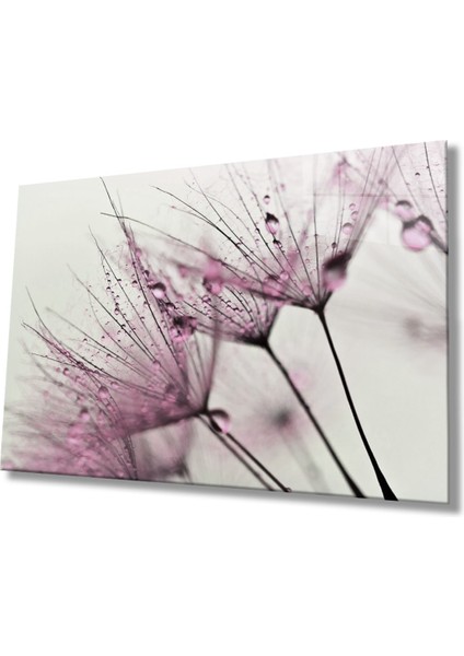 Pembe Karahindiba Cam Tablo