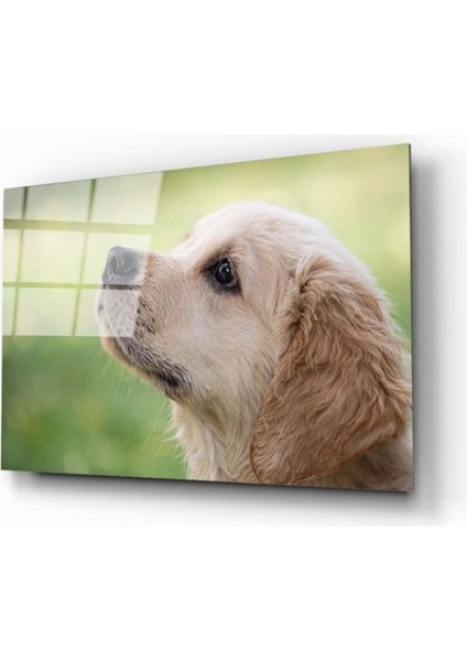 Köpek 1 Cam Tablo