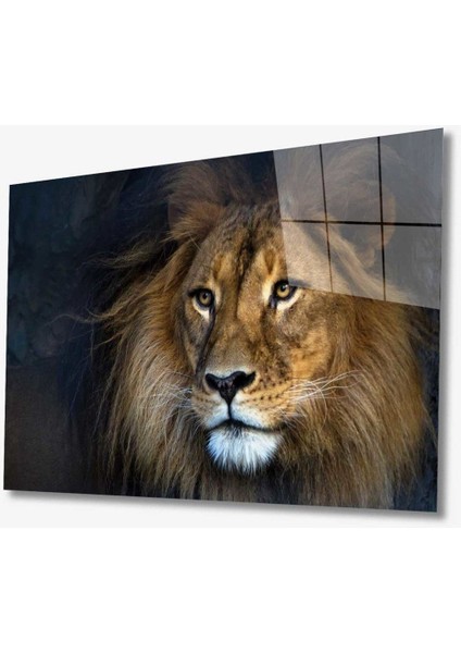 Aslan Hayvan Cam Tablo 4mm Dayanıklı Temperli Cam