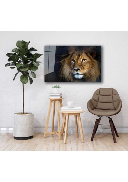 Aslan Hayvan Cam Tablo 4mm Dayanıklı Temperli Cam fiyatları