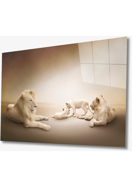Aslan Hayvan Cam Tablo 4mm Dayanıklı Temperli Cam