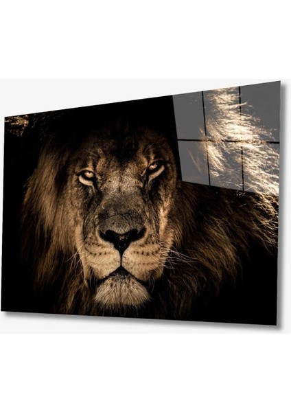 Aslan Hayvan Cam Tablo 4mm Dayanıklı Temperli Cam