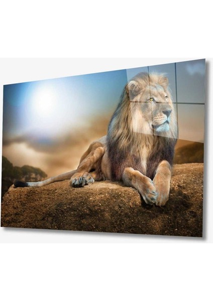 Aslan Hayvan Cam Tablo 4mm Dayanıklı Temperli Cam