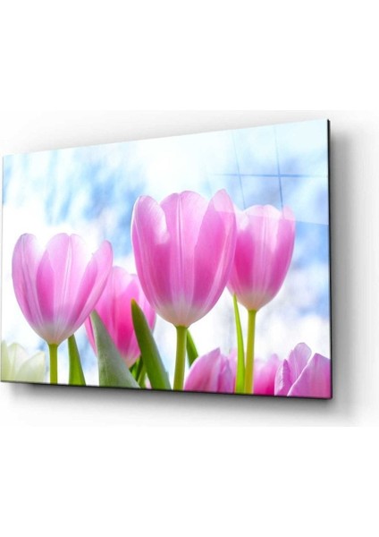 Doğa Manzara Cam Tablo 4mm Dayanıklı Temperli Cam