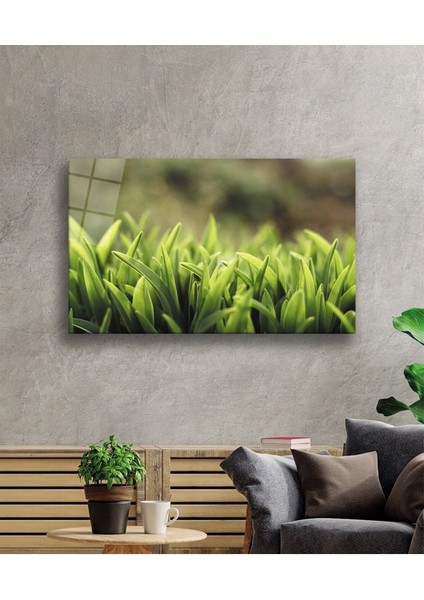 Yeşil Yapraklar Cam Tablo, Ev ve Ofis Duvar Dekoru Hediyelik Büyük Tablo Dayanıklı Cam fiyatları