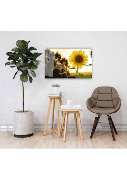 Ayçiçeği Cam Tablo 4mm Dayanıklı Temperli Cam