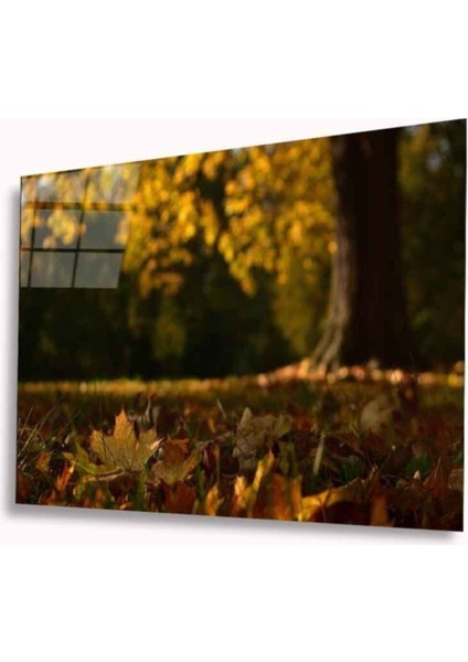 Sonbahar Cam Tablo 4mm Dayanıklı Temperli Cam