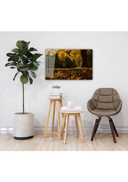 Sonbahar Cam Tablo 4mm Dayanıklı Temperli Cam fiyatları