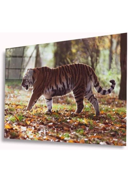 Kaplan Cam Tablo 4mm Dayanıklı Temperli Cam