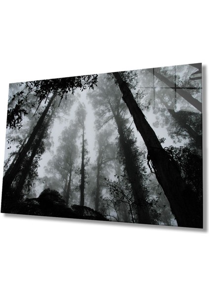Siyah Beyaz Ağaçlar Cam Tablo, Ev ve Ofis Duvar Dekoru Hediyelik Büyük Tablo Dayanıklı Cam