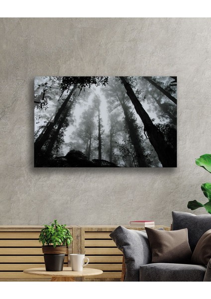 Siyah Beyaz Ağaçlar Cam Tablo, Ev ve Ofis Duvar Dekoru Hediyelik Büyük Tablo Dayanıklı Cam fiyatları