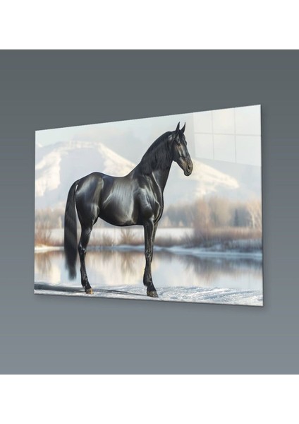 Kışın Gölgesinde Asalet Cam Tablo Hediyelik Büyük Tablo Ev Ofis Dekoru fiyatları