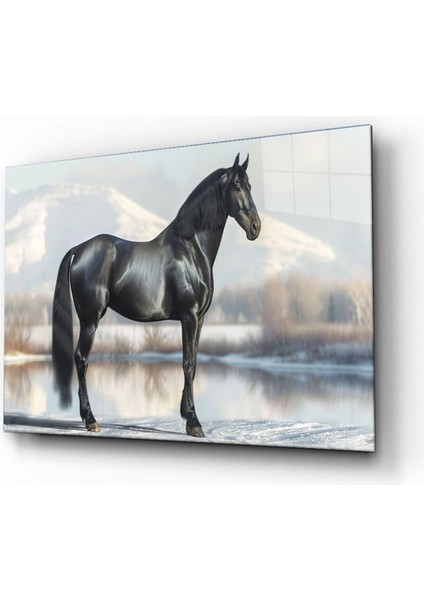 Kışın Gölgesinde Asalet Cam Tablo Hediyelik Büyük Tablo Ev Ofis Dekoru fırsatları