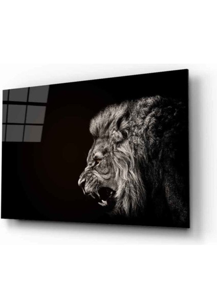 Aslan Hayvan Cam Tablo