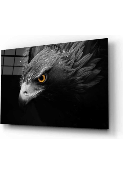 Kartal 4 Hayvan Cam Tablo