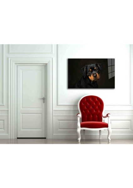 Köpek 6 Cam Tablo fiyatları