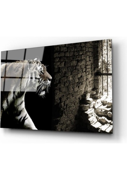 Kaplan Kafeste Cam Tablo