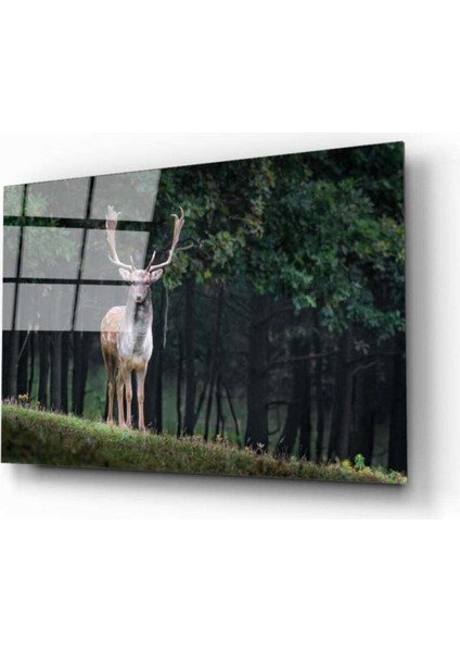 Geyik Cam Tablo