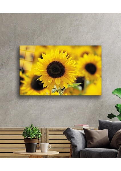Ayçiçeği Cam Tablo, Ev ve Ofis Duvar Dekoru Hediyelik Büyük Tablo Dayanıklı Cam fiyatları