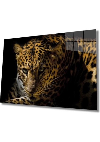 Leopar Hayvan Cam Tablo