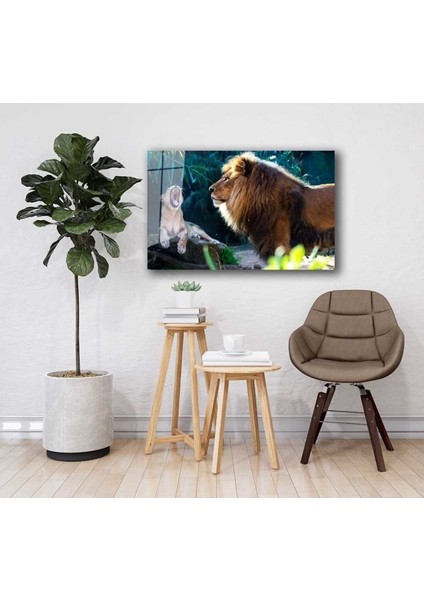 Aslan Hayvan Cam Tablo 4mm Dayanıklı Temperli Cam fiyatları