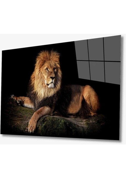 Aslan Hayvan Cam Tablo 4mm Dayanıklı Temperli Cam