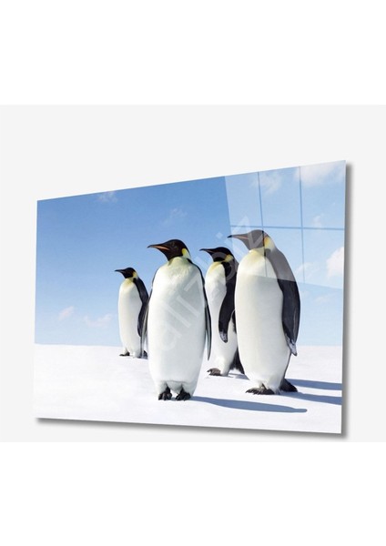 Penguen Hayvan Cam Tablo 4mm Dayanıklı Temperli Cam