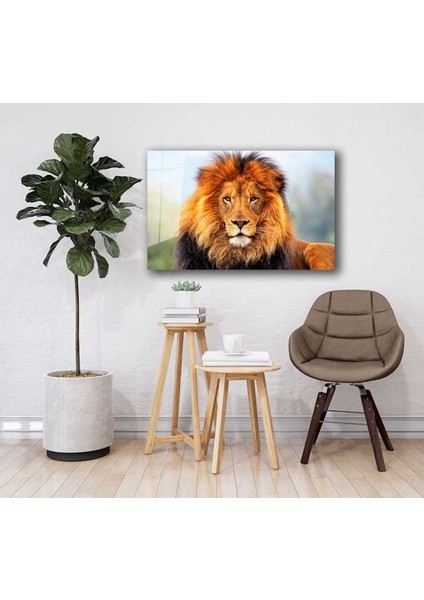 Aslan Hayvan Cam Tablo 4mm Dayanıklı Temperli Cam fiyatları