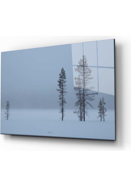 Doğa Manzara Cam Tablo 4mm Dayanıklı Temperli Cam